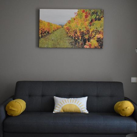 ホテル Coeur De Vignes Saint-Péray 部屋 写真